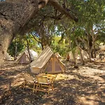 Kampaoh * فاليدوريا